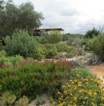 A perfect Algarve garden merges with its surroundings