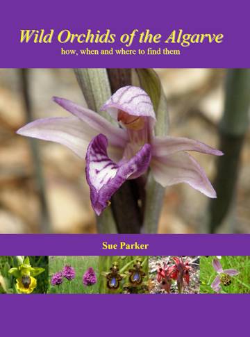 Wild Orchids of the Algarve - how, when and where to find them, by Sue Parker