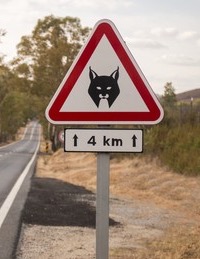 Lynx road sign
