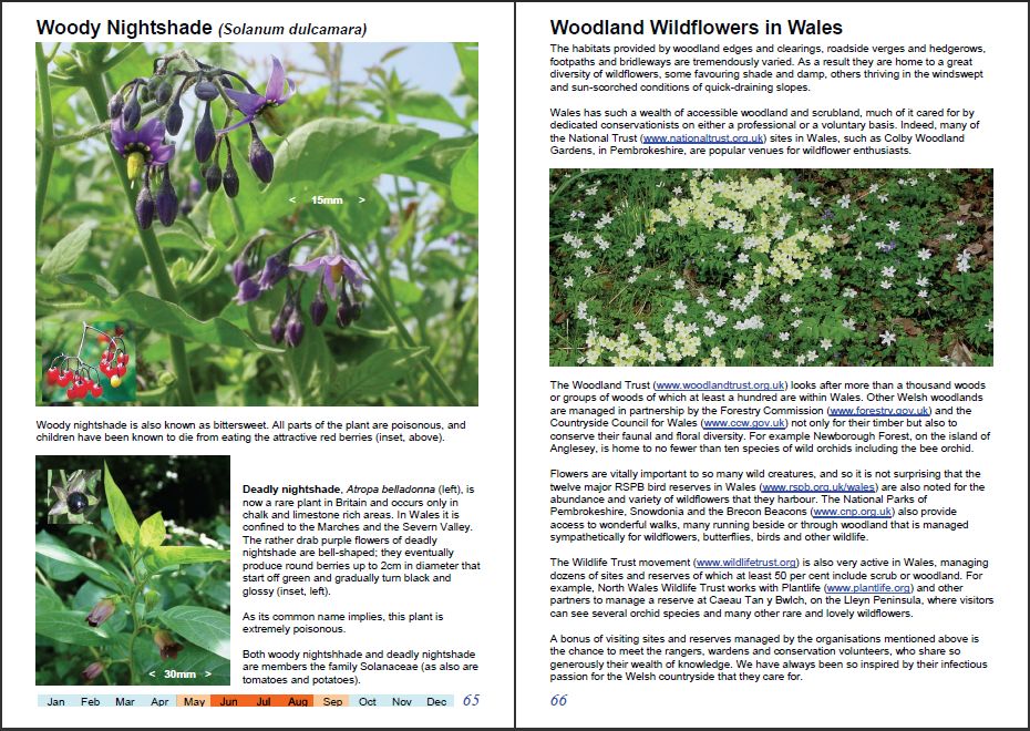 Wonderful Wildflowers of Wales, Vol1-h