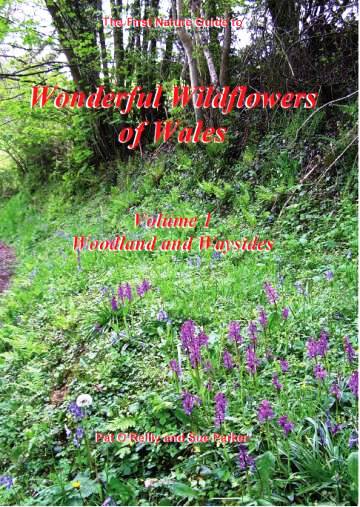 Wonderful Wildflowers of Wales Vol1