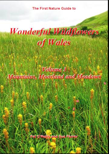 Wonderful Wildflowers of Wales Vol3