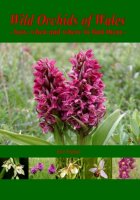 Wild Orchids of Wales, how, when and where to find them, by Sue Parker