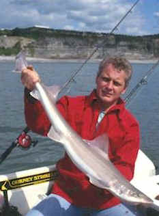 Tope caught off the Welsh coast