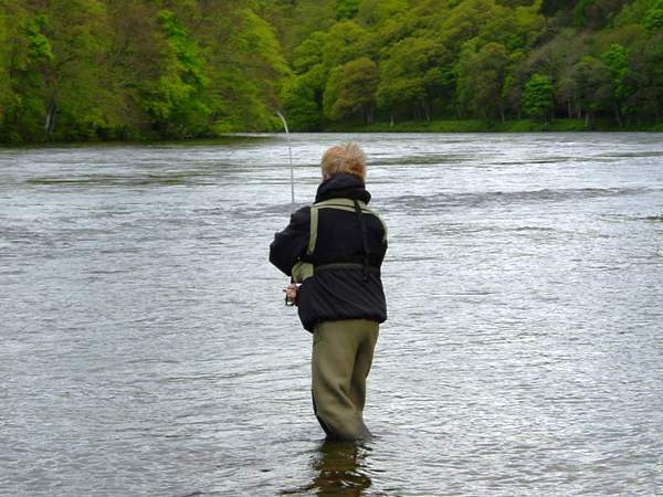 Towing the line upstream in preparation for making a double spey cast