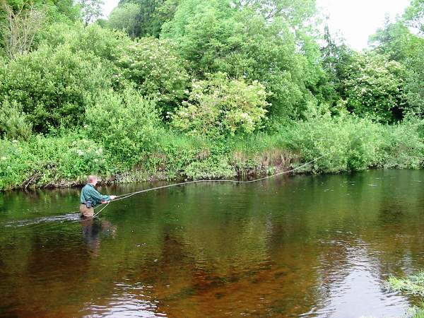 Trout fishing on the River Suir