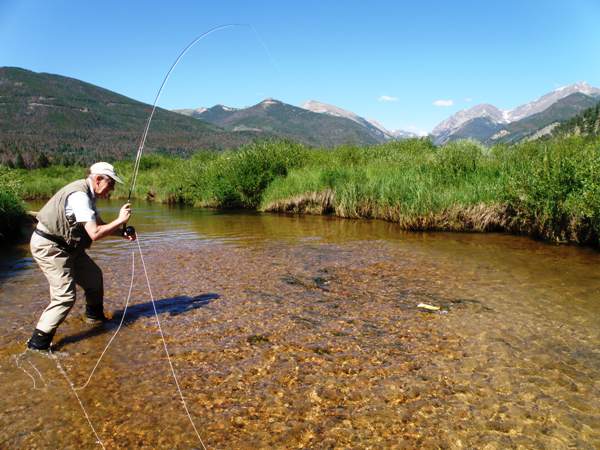 Fishing on the Fall River in Rocky Mountain National Park