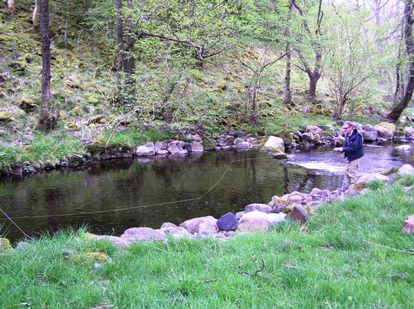 Dry-fly fishing on the Taf-fechan, a small tributary of the River Taff