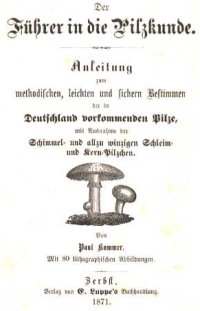 Paul Kummer, 1871 book cover