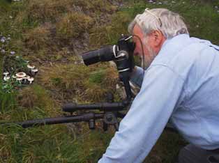 Using a tripod for fungus photography