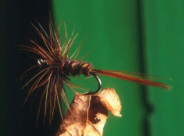 Pheasant-tail Spinner