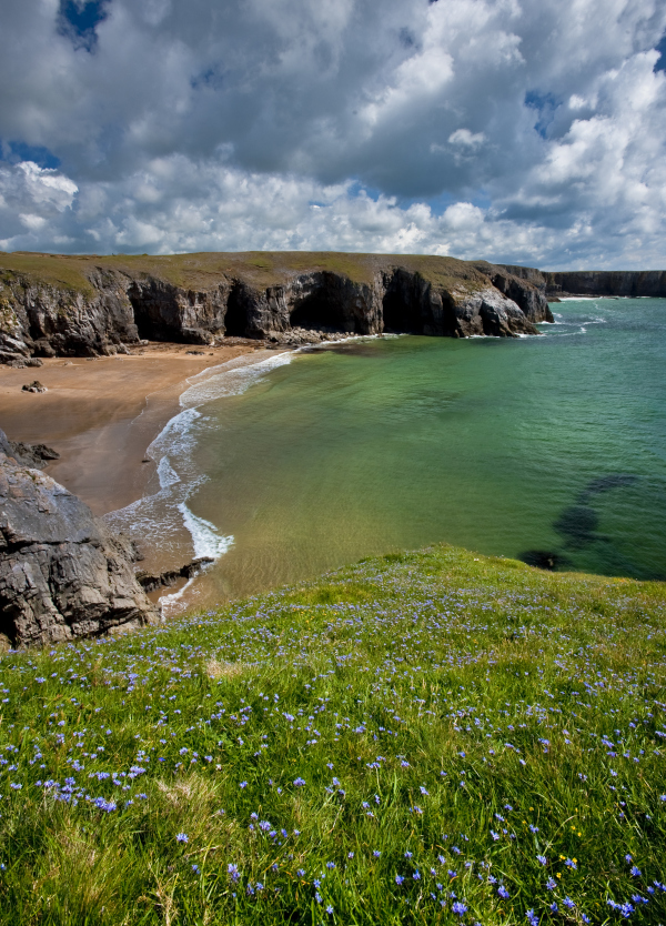 The coast at Stackpole NNR
