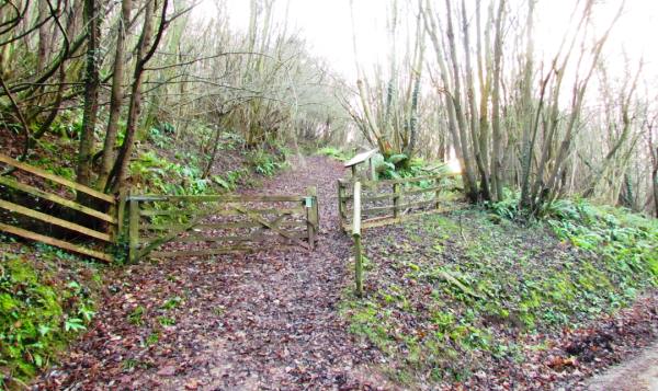 The entrance to Priory Grove Woods