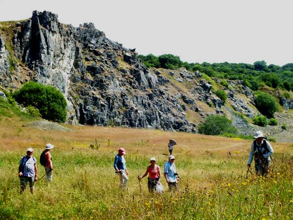 Hardy Orchid Society members at Minera Quarry