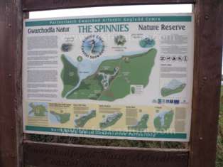 The information Board at Spinnies