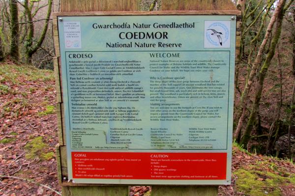 Information board at Coaedmor NNR
