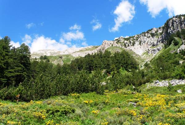Pirin mountains in Bulgaria