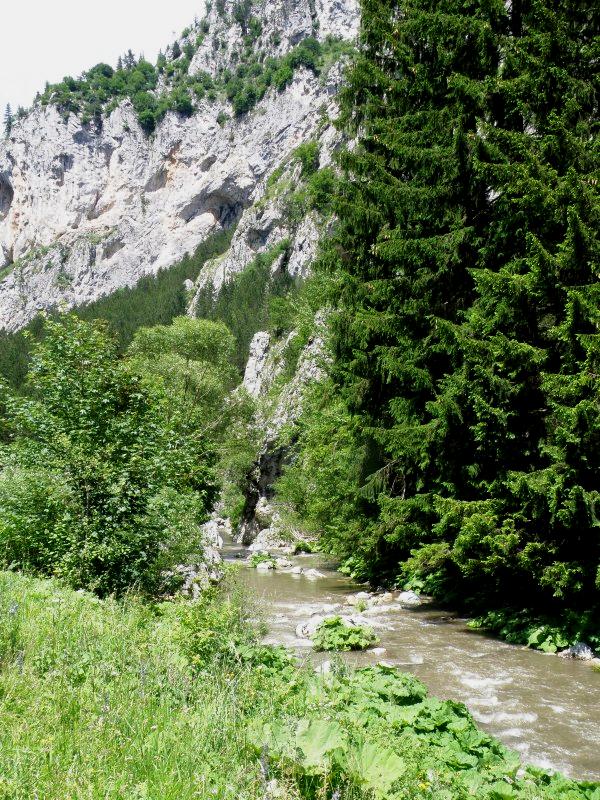 A gorge in the Rhodopi Mountain range in Bulgaria