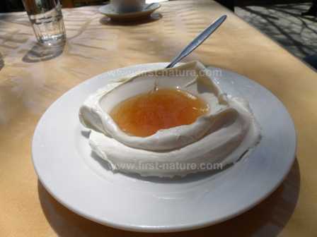 Cretan yoghurt and honey
