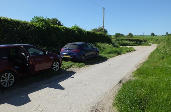 Limited parking on verge at Noar Hill nature reserve